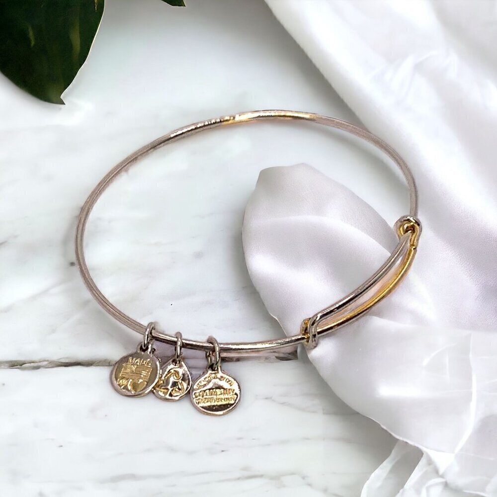 Alex and Ani Charm Station Bracelet Silver Gold Finish - Expands 2"- 3.5"